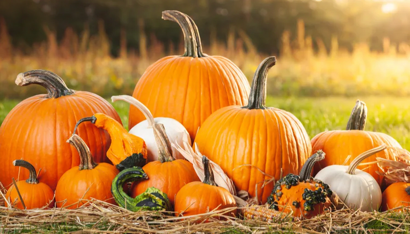 Treat Acne Naturally with Pumpkin